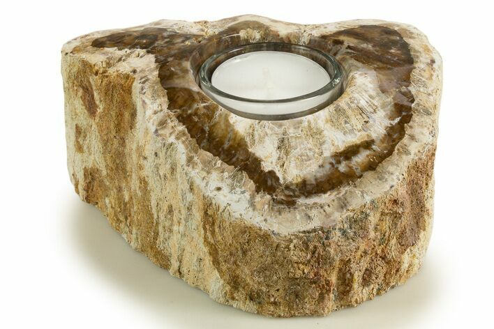 Polished Petrified Wood Candle Holder - Madagascar #338404
